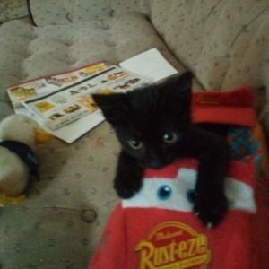 Meet your Posher, Anthony